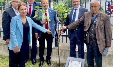 Mevlüde Genç anısına fidan dikildi